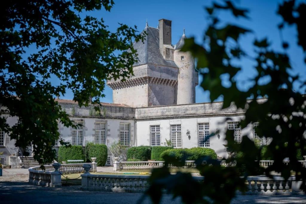 Chateau De Mornay Saint-Pierre-de-l'Isle Экстерьер фото