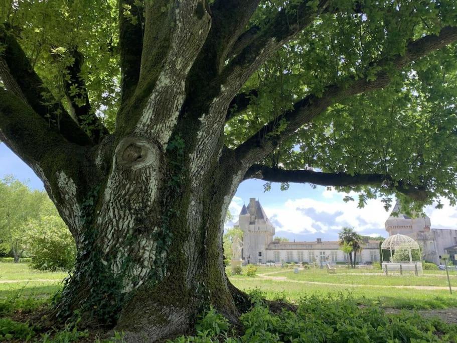 Chateau De Mornay Saint-Pierre-de-l'Isle Экстерьер фото