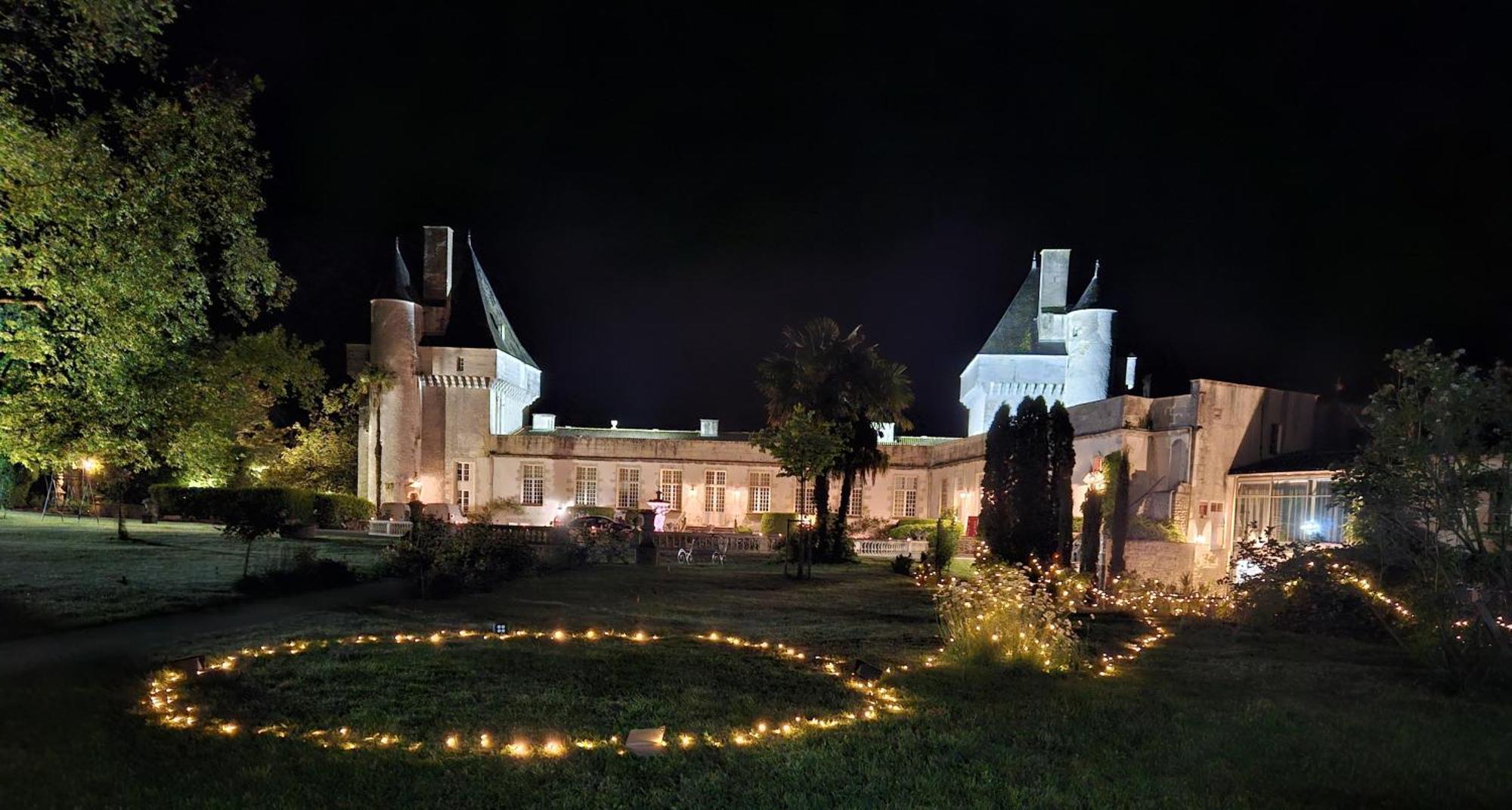 Chateau De Mornay Saint-Pierre-de-l'Isle Экстерьер фото